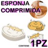 Esponja Pulpa De Madera Diseños Kawaii Limpieza Profunda